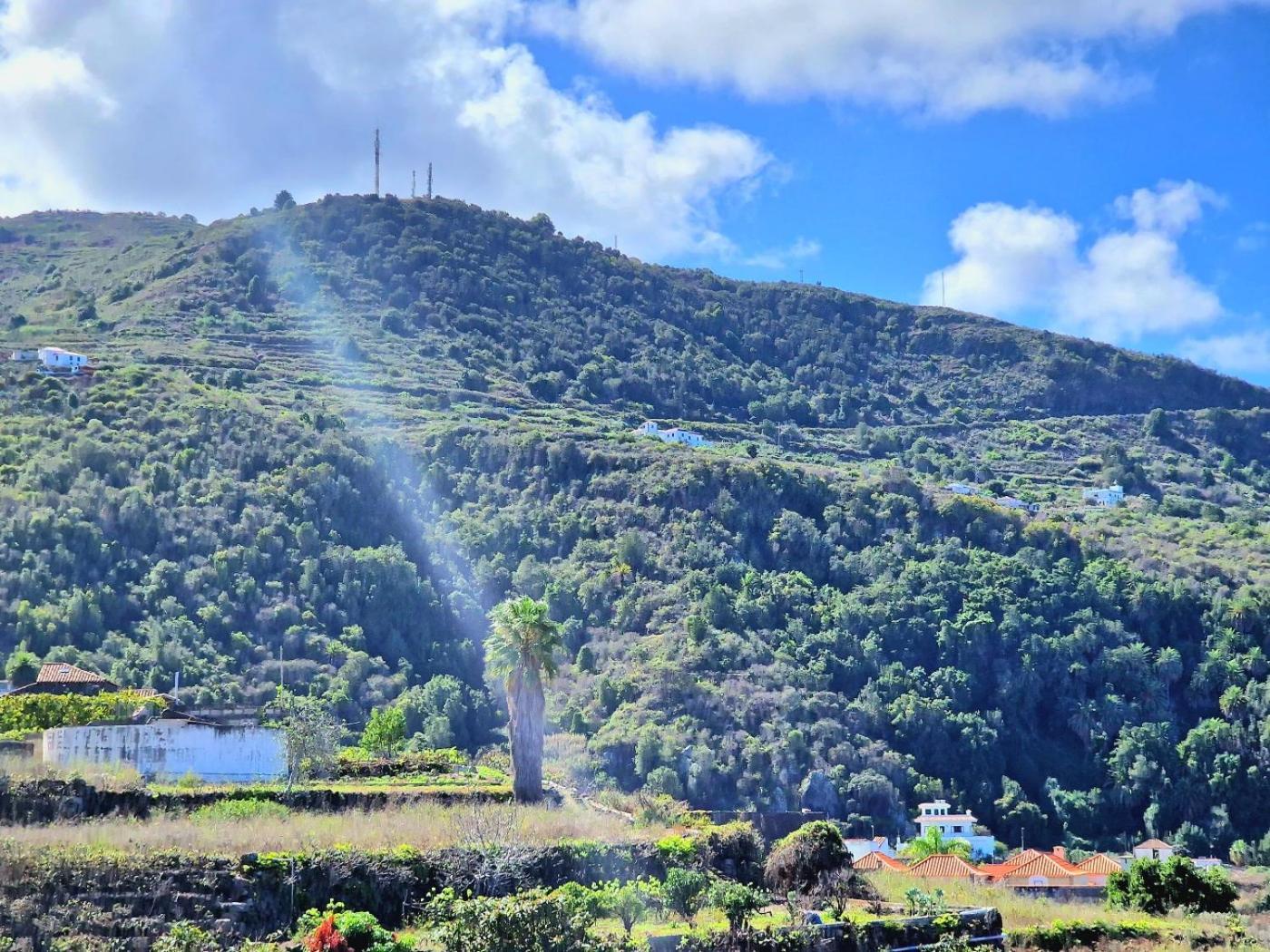 Cozy House Casa De Los Abuelos In Icod De Los Vinos By Hrtenerife Net 外观 照片