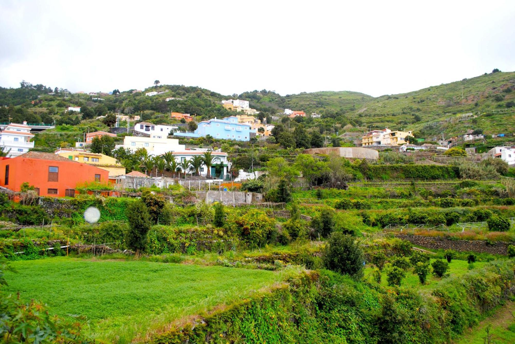 Cozy House Casa De Los Abuelos In Icod De Los Vinos By Hrtenerife Net 外观 照片