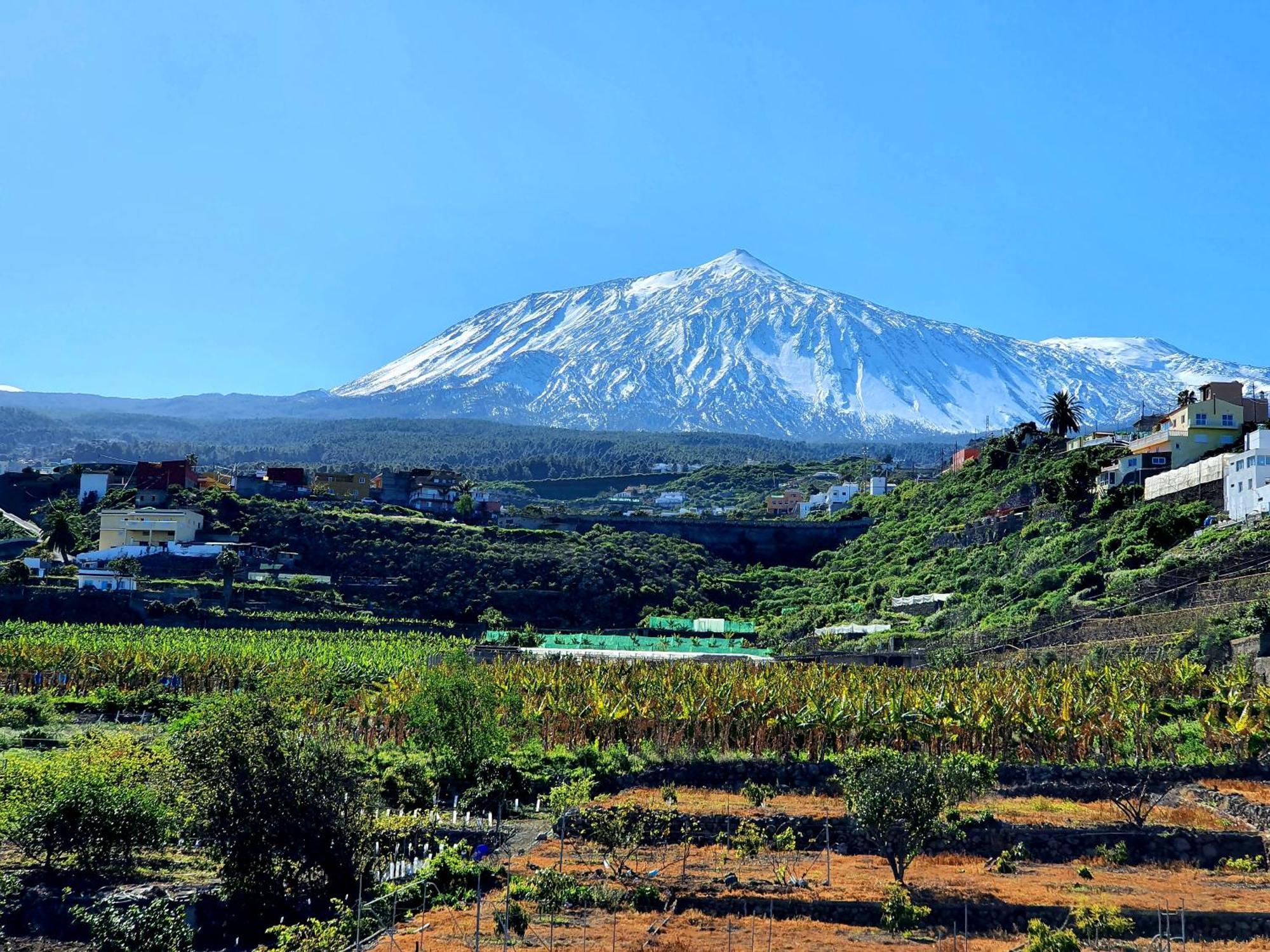 Cozy House Casa De Los Abuelos In Icod De Los Vinos By Hrtenerife Net 外观 照片